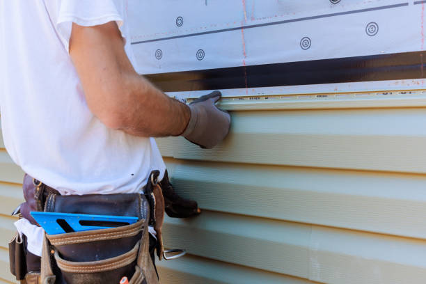 Affordable Emergency Siding Repair solutions in Des Plaines, IL
